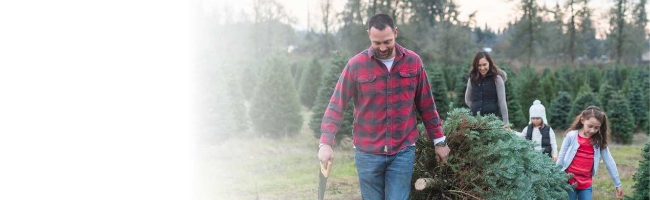 A family carrying a tree at a Christmas tree farm.